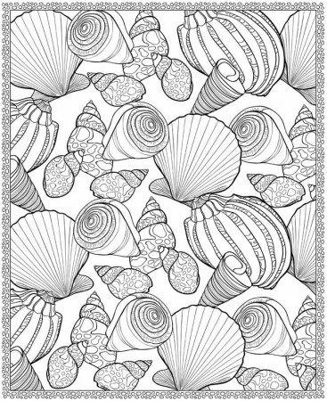 Seashells Coloring Page for Adults