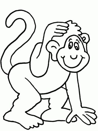 monkey-