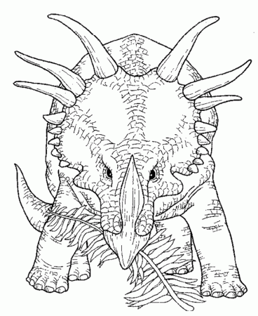 Dinosaur Coloring Pages | Triceratops Dinosaur coloring page 