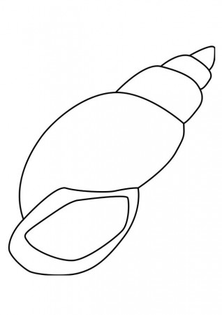 Coloring page snail shell - img 27183.