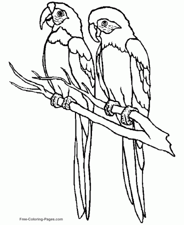 Animal Coloring Pages: February 2010