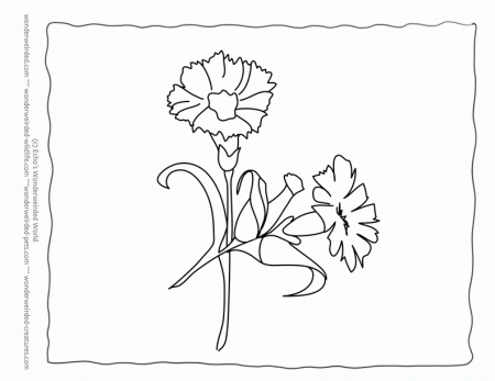 Flower Coloring Sheets Carnation,Free Printable Flower Coloring 