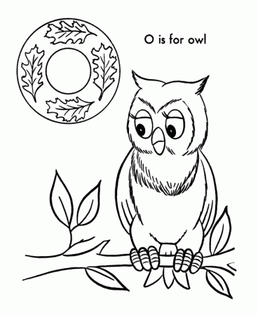 Pin by Schoolfy.com on Free Owls to Color / Owl Worksheets - Schoolfy…