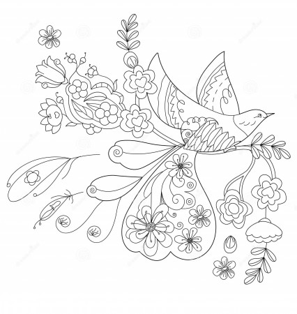 Print Paradise Birds Coloring Pages - Coloring Cool