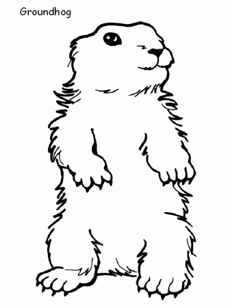 Groundhog coloring page - Animals Town - animals color sheet ...