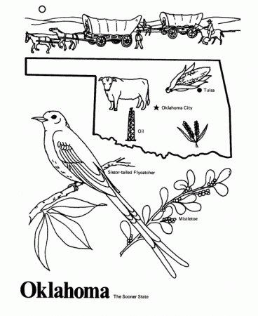 Oklahoma State Flower Coloring Sheet