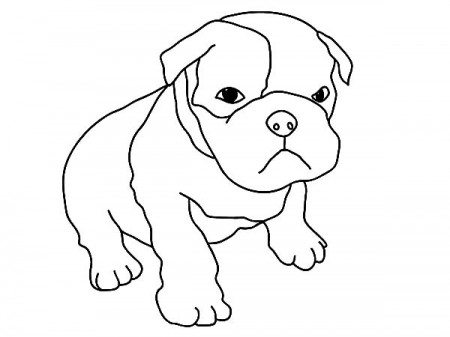 Baby Boxer Dog Coloring Pages : Best Place to Color