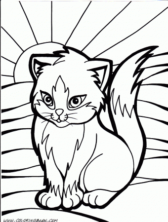 Coloring Book : Kitten Sheet Excelent Image Ideas Halloween Cat ...