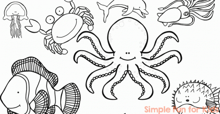 Ocean Creatures Coloring Pages - Simple Fun for Kids