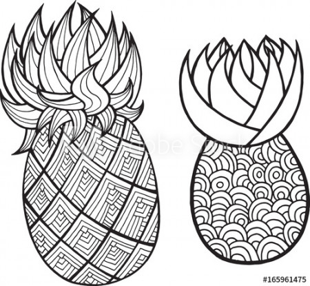 Pineapple and ananas coloring page. Graphic vector black and white art for  coloring books for adults. Tropical and exotic fruit line illustration.  Stock Vector | Adobe Stock