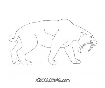 Saber Tooth Tiger Coloring Page