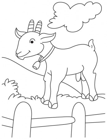 Goat in fence coloring page | Download Free Goat in fence coloring ...