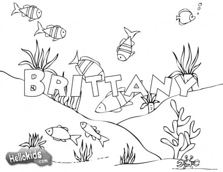 Print my name | School coloring pages, Name coloring pages, Kindergarten coloring  pages