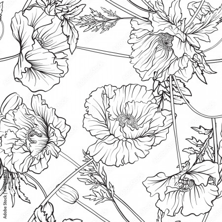 Seamless pattern with poppy flowers in botanical vintage style. Outline  hand drawing coloring page for adult coloring book. Stock line vector  illustration. Stock Vector | Adobe Stock