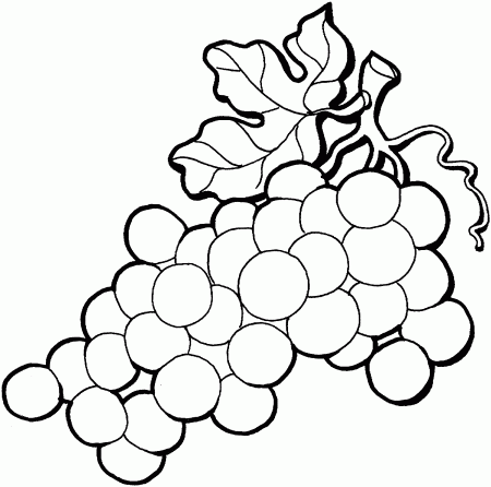 Free Grapes Drawing, Download Free Clip Art, Free Clip Art on Clipart  Library