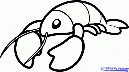 How to Draw a Lobster for Kids, Step by Step, Animals For Kids 