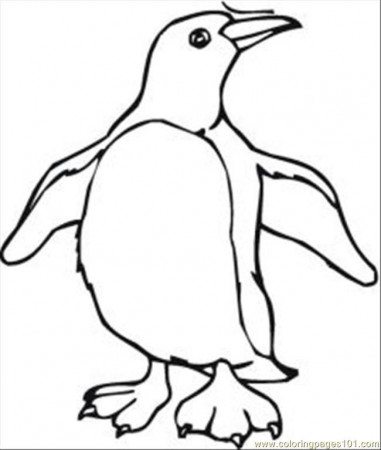 Coloring Pages Penguin Coloring Pages 6 Med (Birds > Penguin 