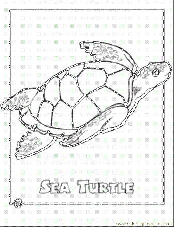 seaturtles Colouring Pages
