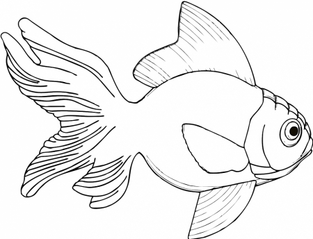 Fish Black White Line Art Coloring Book Colouring Svg Id 10784 