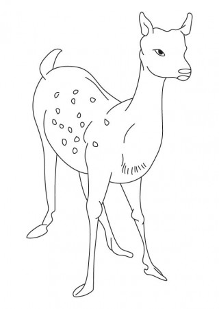 Alone deer coloring page | Download Free Alone deer coloring page 