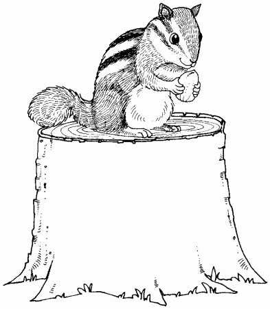 Free Chipmunk Coloring Pages