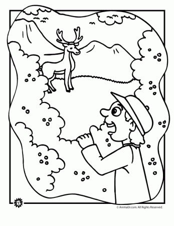 forrest bear Colouring Pages (page 2)