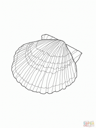 Scallop Shell Coloring Page Pages Crafts Drawings Id 67363 228810 
