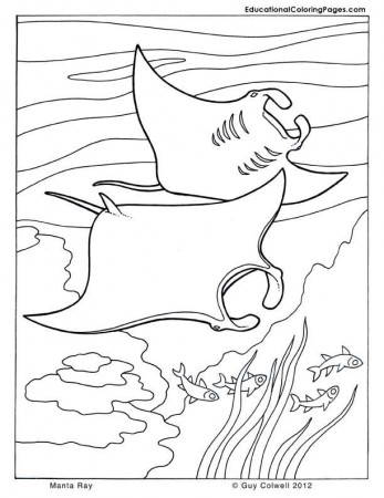 Ocean coloring book pages! | For the Little Ones