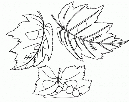 The Old Dried Leaves Coloring Page - Kids Colouring Pages