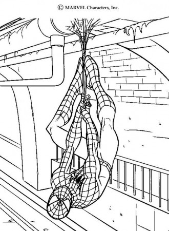 Image Search Coloring Page Spiderman 3 Coloring Pages 14 Car Pictures