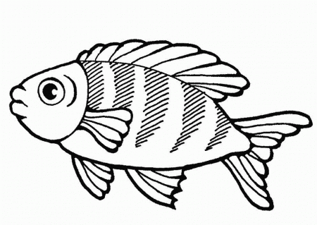 Big Fish Sea Life Coloring Pages :Kids Coloring Pages | Printable 