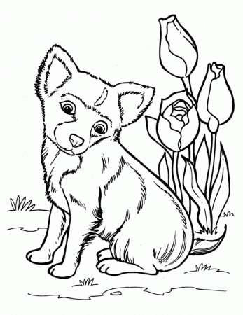 Cute Puppy Coloring Pages Printable 217780 Puppy Coloring Page