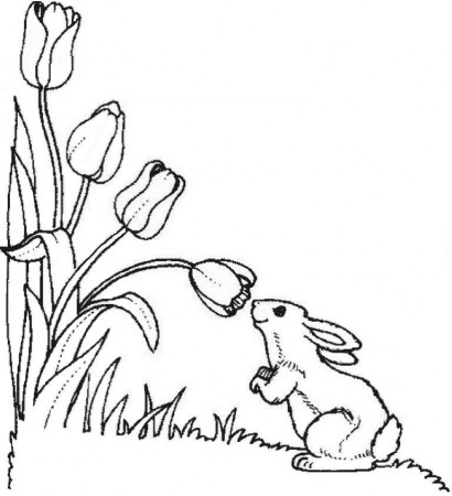 tulips coloring pages - group picture, image by tag - keywordpictures.