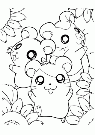 Happy Hamsters With Sun Flower Hamtaro Coloring Page - Cartoon 