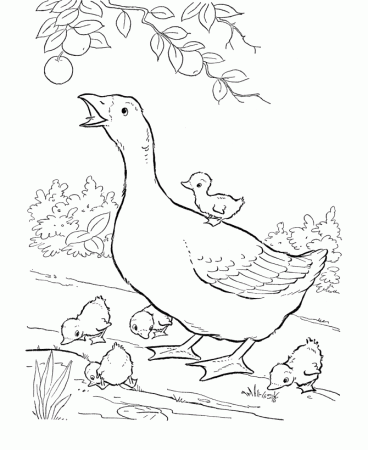 Easter Chick Coloring Pages - Mother goose and baby chicks easter 