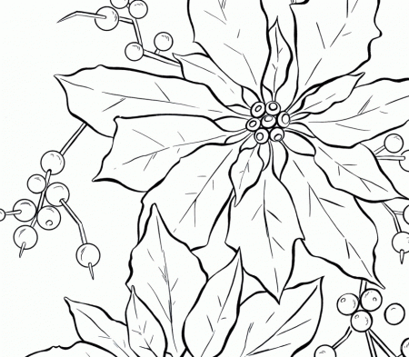 Say It With Flowers Christmas 166905 Poinsettia Coloring Pages