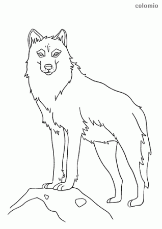 Wolves coloring pages » Free & Printable » Wolf coloring sheets