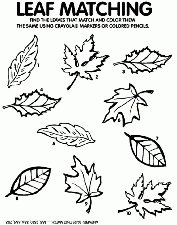 Leaf Matching Game Coloring Page | crayola.com