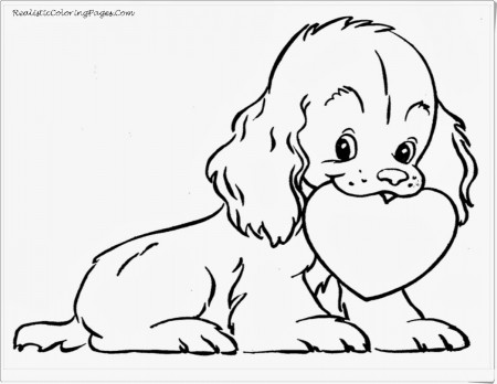 Very Cute Animal Coloring Pages for Pinterest