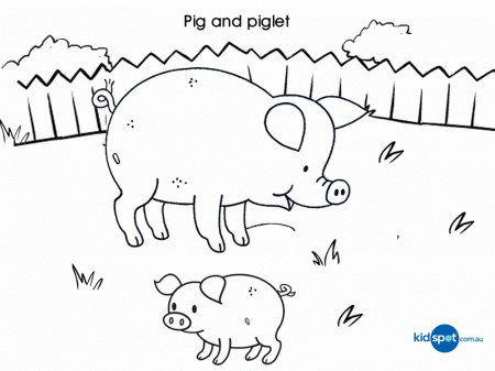 Pigs and piglets coloring pages download and print for free