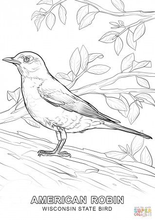 Coloring Page Of Alabama State Bird - Coloring Page