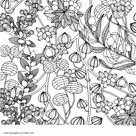 Big Flower Coloring Pages || COLORING-PAGES-PRINTABLE.COM