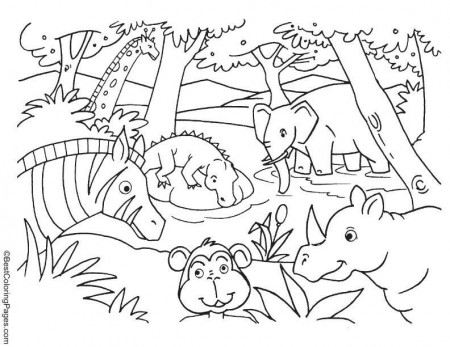 Animals drinking water coloring page | Download Free Animals drinking water  coloring page for kids | Best Coloring Pages