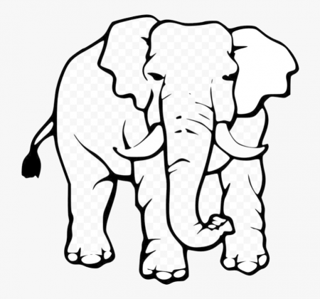Elephant Coloring Pages , Transparent Cartoon, Free Cliparts & Silhouettes  - NetClipart