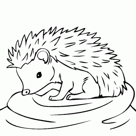 Baby Hedgehog Coloring Page - These coloring pages are fun and ...