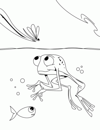 Poison Dart Frog coloring page - Animals Town - Free Poison Dart ...