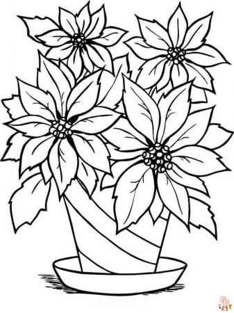 Get Festive with Poinsettia Coloring Pages - GBcoloring