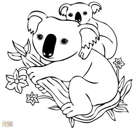 Koala Bear Coloring Pages | Bear coloring pages, Cartoon coloring ...
