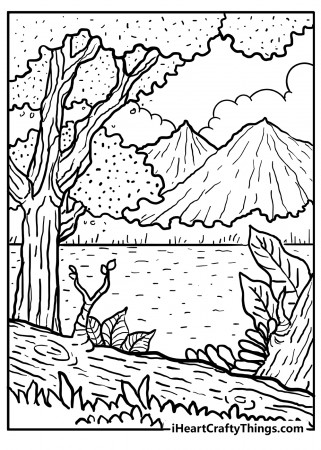 Printable Forest Coloring Pages (Updated 2023)