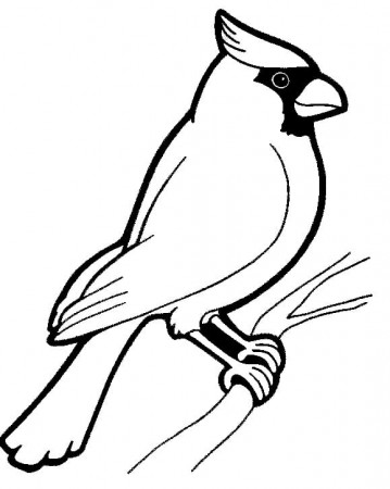 Cardinal Coloring Pages - Free Printable Coloring Pages for Kids